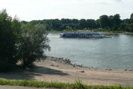 Der Rhein bei der Urdenbacher Kämpe und Zonser Grind